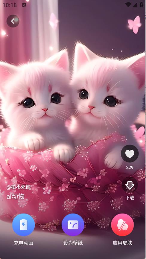 触感桌面壁纸(图4)