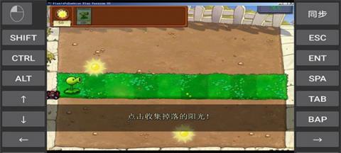 植物大战僵尸95版(图9)