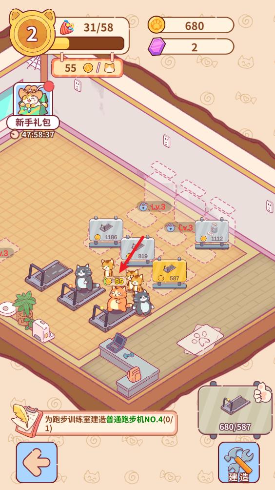猫咪健身房(图4)