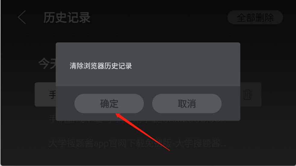 飞视浏览器(图7)
