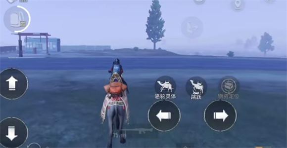 PUBG2025最新版(图8)
