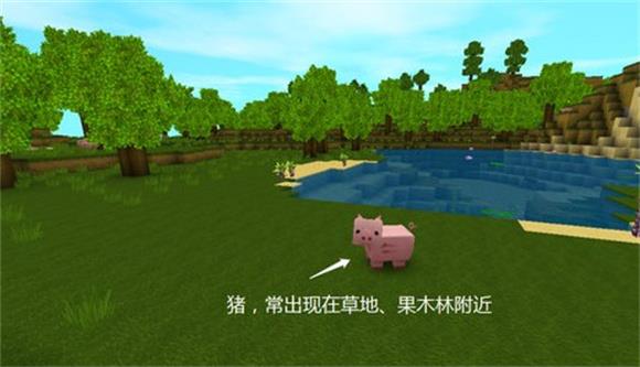迷你世界九游版(图18)
