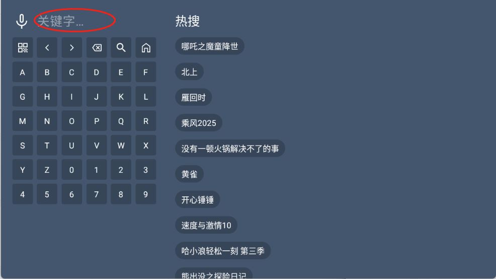 知云4K(图2)