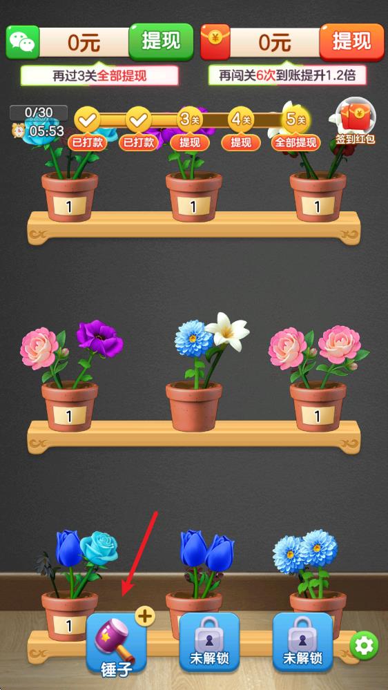 富贵花开(图4)