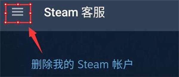 Steam(图7)