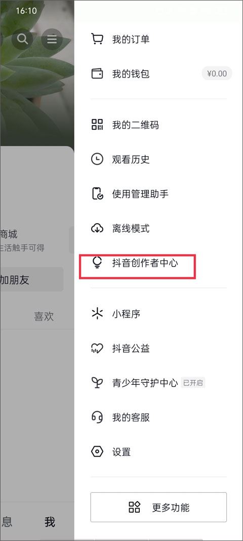 抖音商城(图4)