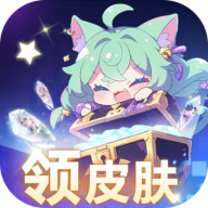 皮肤契约