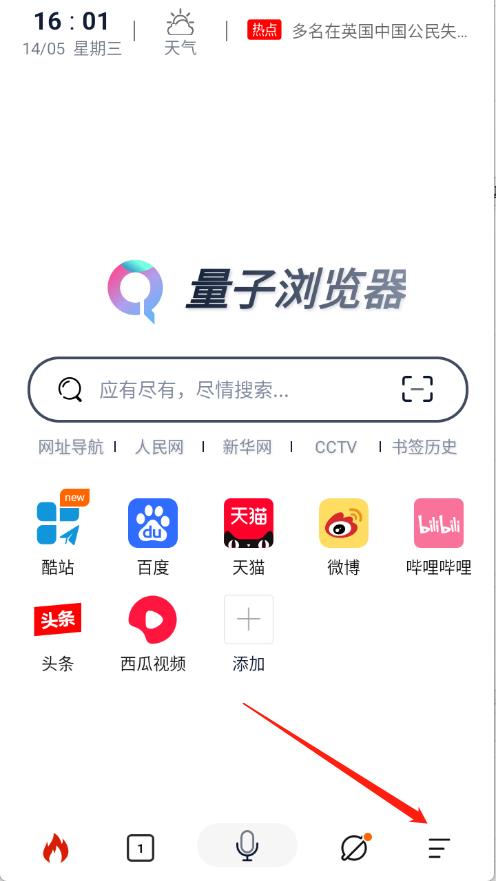 量子浏览器(图5)