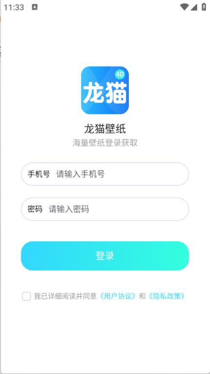 龙猫壁纸(图1)