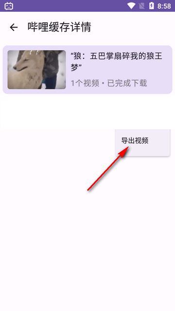 哔哩缓存导出(图4)