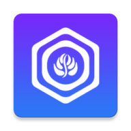 open browser