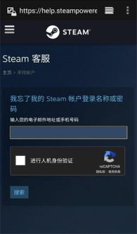 steam(图8)