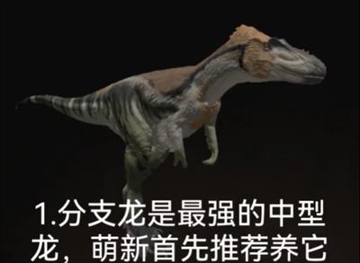 泰坦之路国际服(图12)