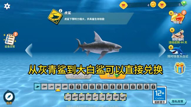 饥饿鲨进化国际版(图5)