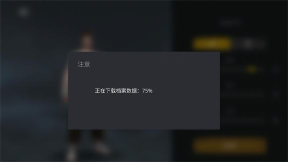 暗影格斗3国际服(图5)