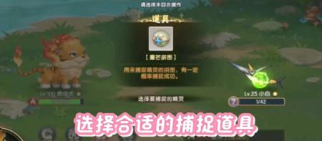 西普大陆(图8)