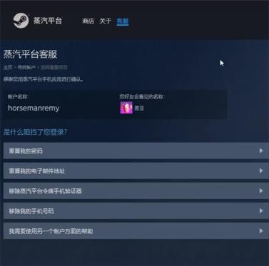 steam(图9)