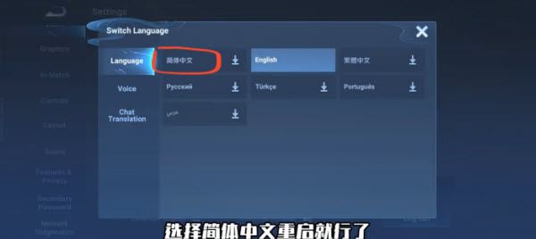王者荣耀国际服(图9)