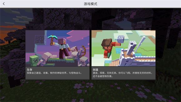 我的世界国际服(图6)
