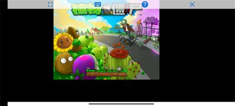 植物大战僵尸95版(图7)