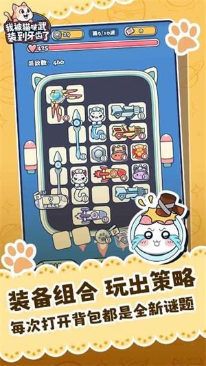 我被猫咪武装到牙齿了(图2)