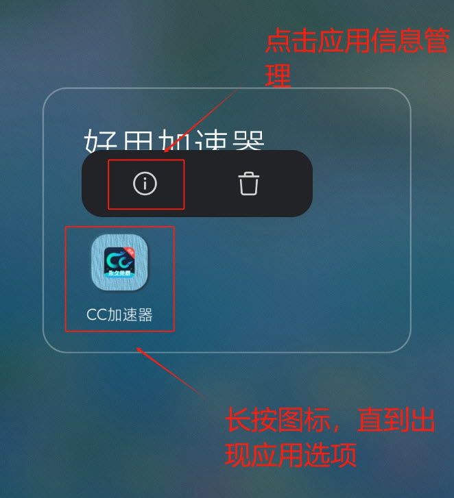 CC加速器(图9)