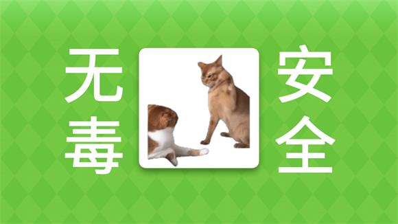 女巫的毒药猫meme版(图3)