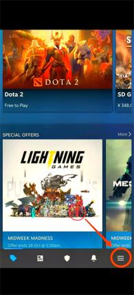 steam(图2)