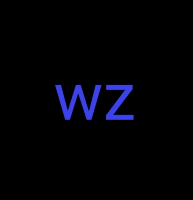 wz定制1.36