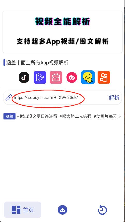 聚合解析助手(图2)