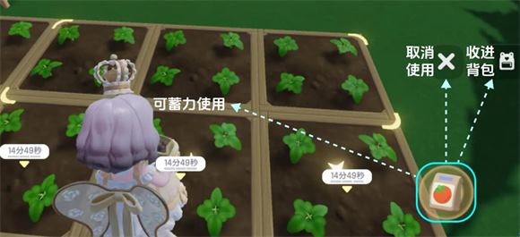 心动小镇(图4)