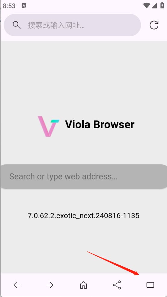 Viola Next(图4)