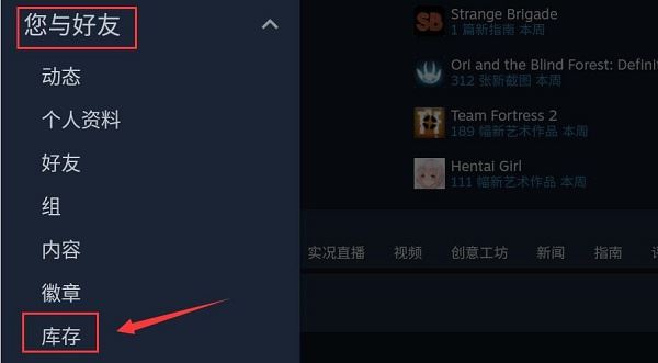 Steam(图8)