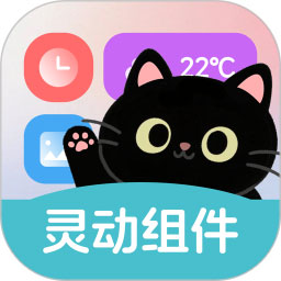 灵动皮肤小组件