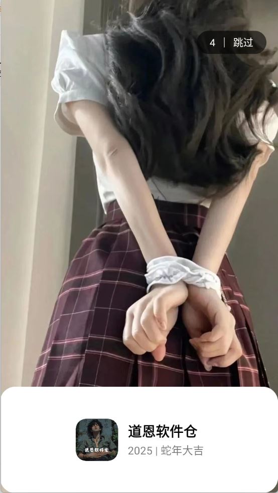 道恩软件仓(图1)
