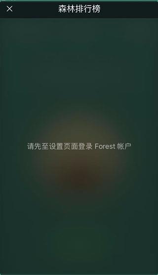 Forest专注森林(图5)