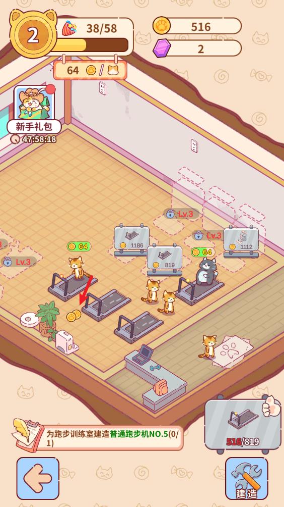 猫咪健身房(图5)