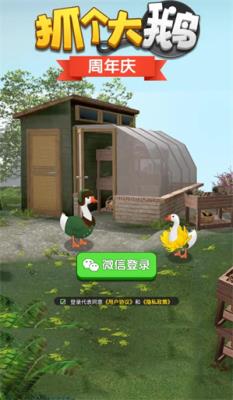 抓个大鹅(图1)