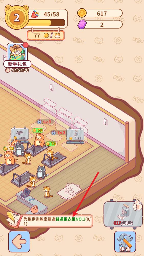 猫咪健身房(图7)