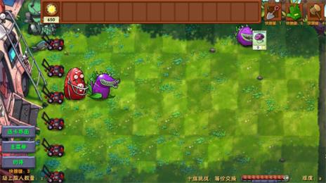 植物大战僵尸融合版雪原版本(图8)