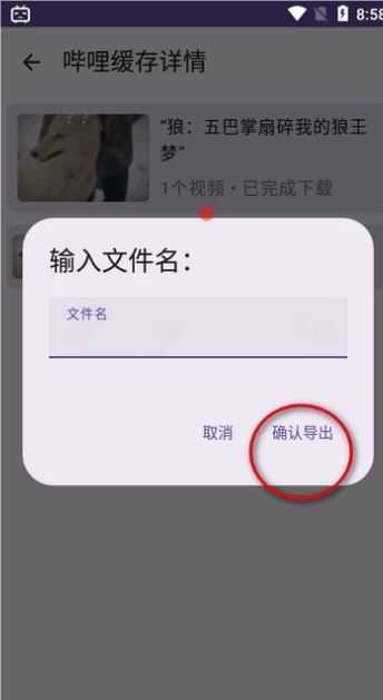 哔哩缓存导出(图5)