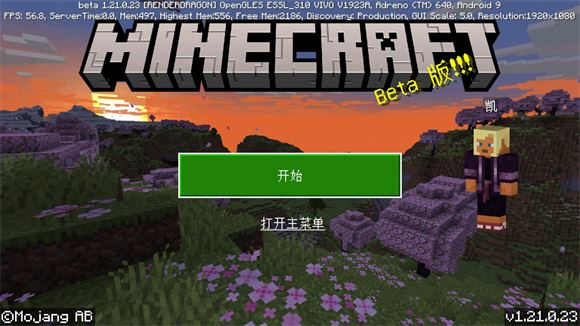 我的世界基岩版(图2)