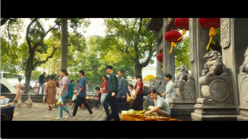 网飞猫tv版(图4)