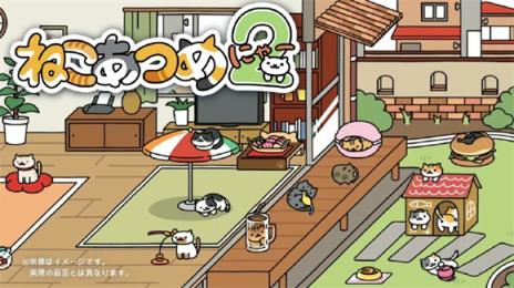 猫咪后院2(图1)