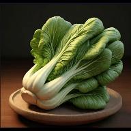老谭酸菜