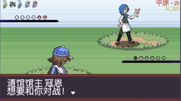 pokerogue(图19)