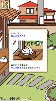 猫咪后院2官方正版(图6)