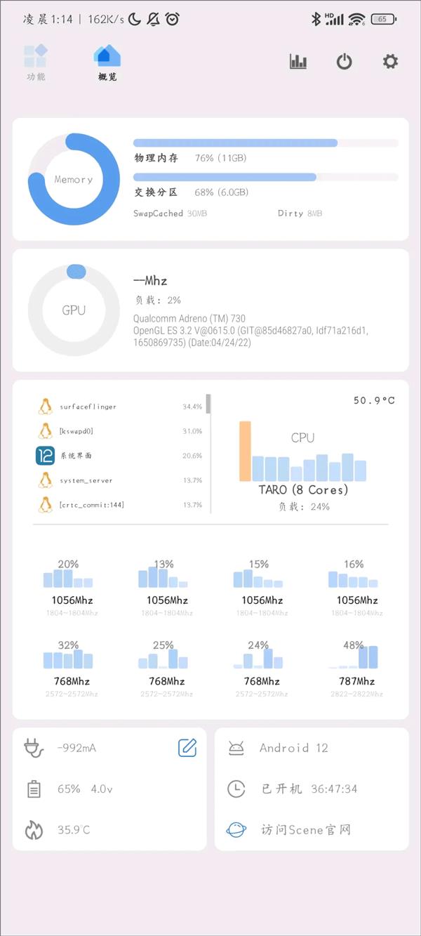 Scene(图12)