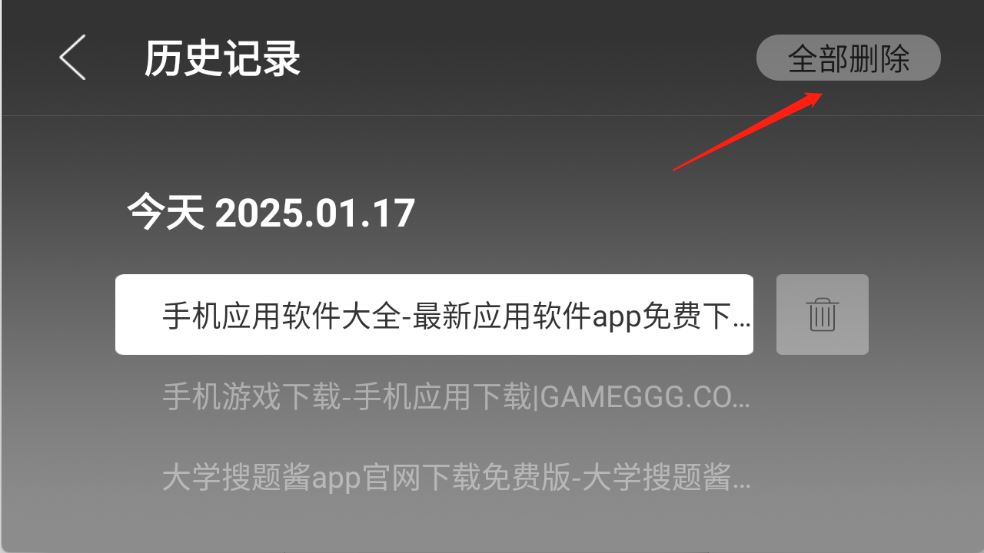 飞视浏览器(图6)