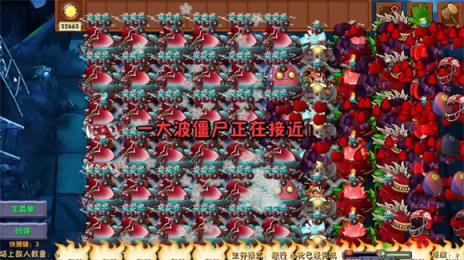 植物大战僵尸融合版旅行版本(图10)